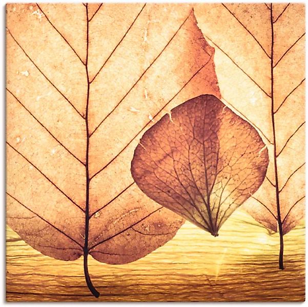 Artland Leinwandbild "Losgelöst", Blätter, (1 St.), auf Keilrahmen gespannt günstig online kaufen