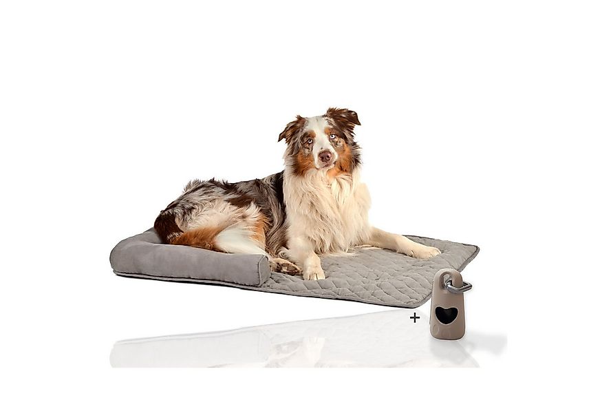 Rohrschneider Tierdecke Couchkissen Hund Hundebett Sofaschutz Möbelschutz K günstig online kaufen