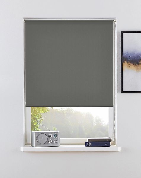 my home Seitenzugrollo "THEMSE" abdunkelnd Sichtschutz  Verdunkelung  energ günstig online kaufen