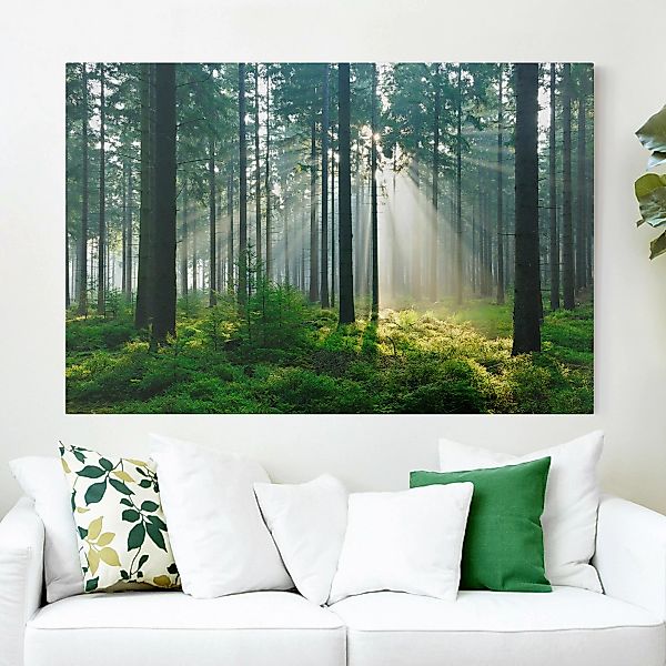 Leinwandbild - Querformat Enlightened Forest günstig online kaufen