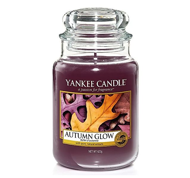 Yankee Candle Duftkerze Autumn Glow 623 g günstig online kaufen