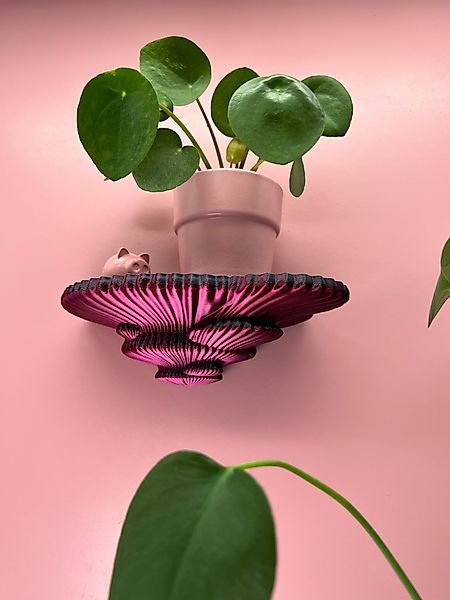 Roomberry Deko-Wandregal Schwebendes Beerenpilz Wandregal – günstig online kaufen