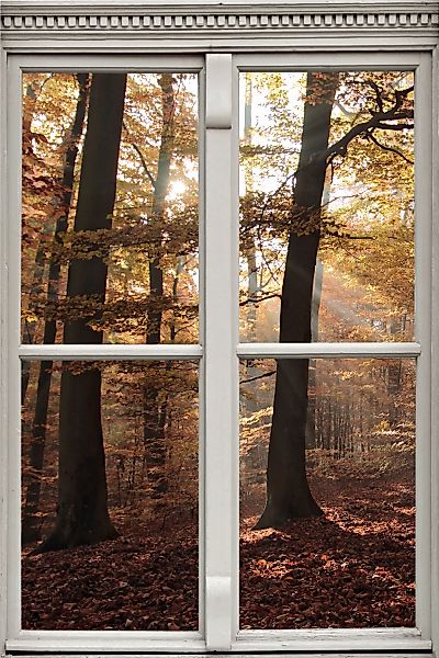 queence Wandsticker "Wald", Wandsticker, Wandbild, selbstklebend, 3D, Fenst günstig online kaufen