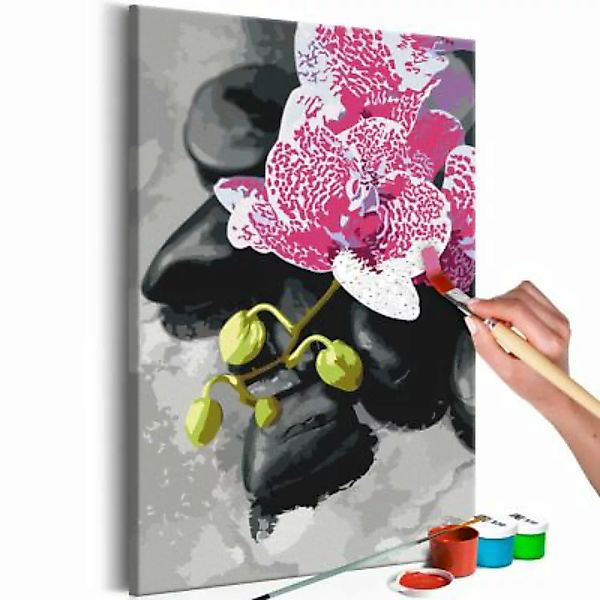 artgeist Malen nach Zahlen Rosarote Orchidee mehrfarbig Gr. 40 x 60 günstig online kaufen
