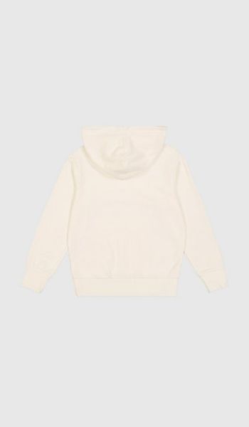 Champion Sweatshirt Hooded Sweatshirt NATL günstig online kaufen