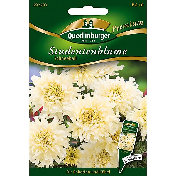 Quedlinburger Studentenblumen Schneeball Loses Saatgut günstig online kaufen