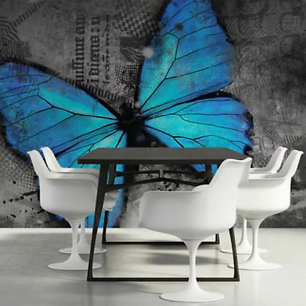 artgeist Fototapete Alated blau/grau Gr. 450 x 270 günstig online kaufen