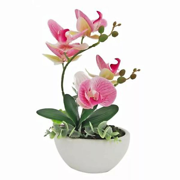 NTK-Collection Kunstblume Orchidee pink in Schale Leilani rosa günstig online kaufen