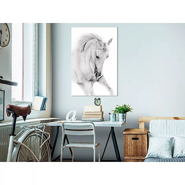 home24 Wandbild White Horse günstig online kaufen