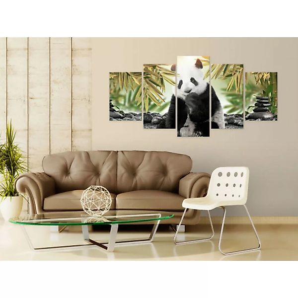 Leinwandbild Cute Panda Bear  XXL günstig online kaufen