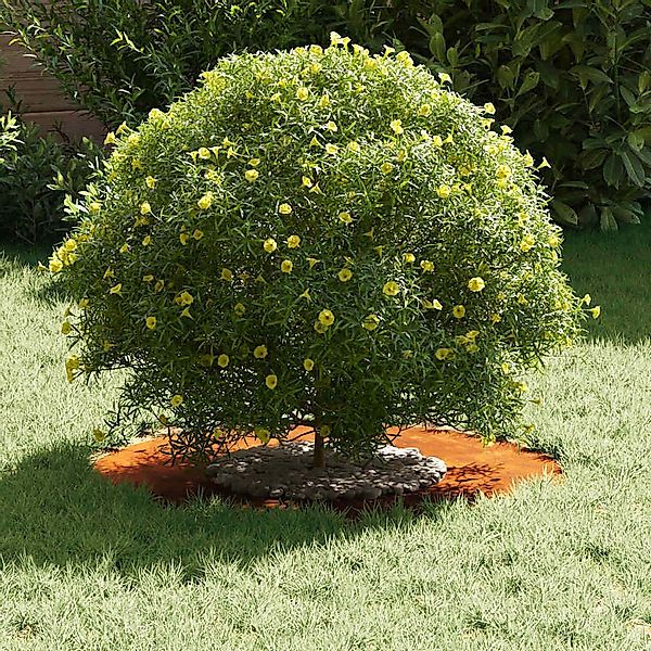 vidaXL Blumentopf Flache Baumringe 5 pcs günstig online kaufen