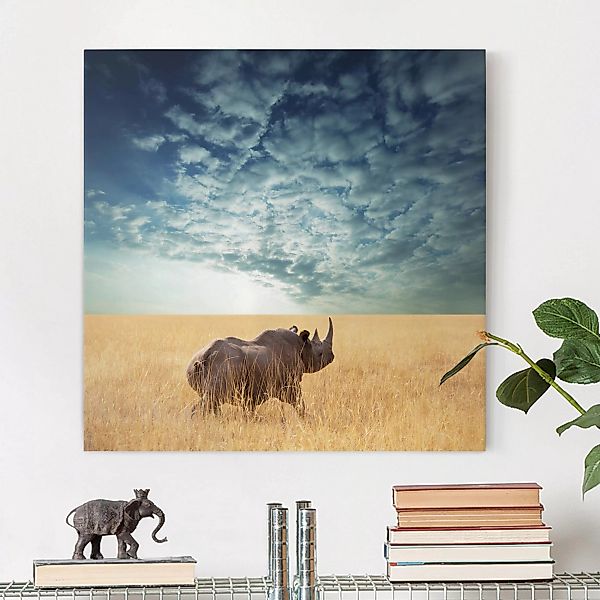 Leinwandbild Afrika - Quadrat Nashorn in der Savanne günstig online kaufen