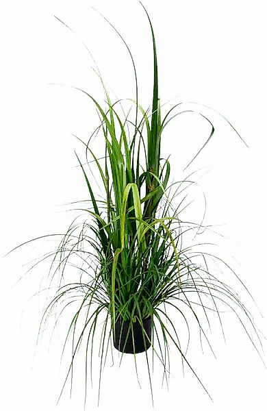 I.GE.A. Kunstpflanze »Gras im Topf« günstig online kaufen