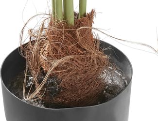 Kunstpalme Palme, Creativ green, Höhe 110 günstig online kaufen