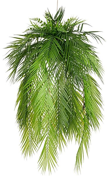 Kunstpflanze Palmwedel auf Mooskugel, Creativ green, günstig online kaufen