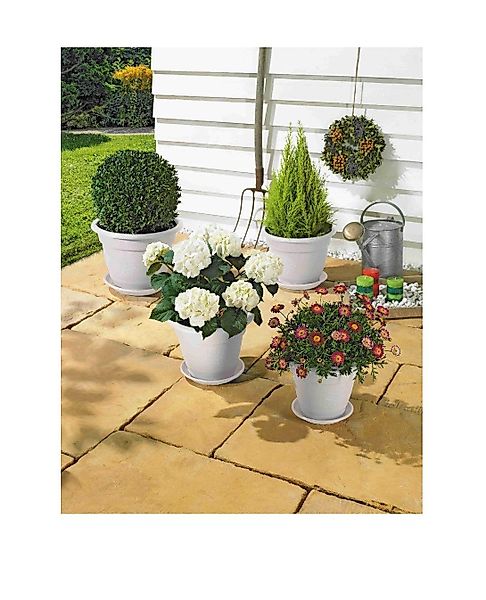 ALPFA Blumentopf Set Sydney weiß inkl. günstig online kaufen