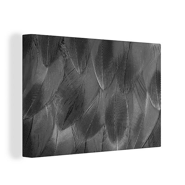 OneMillionCanvasses® Leinwandbild Struktur der Federn - günstig online kaufen