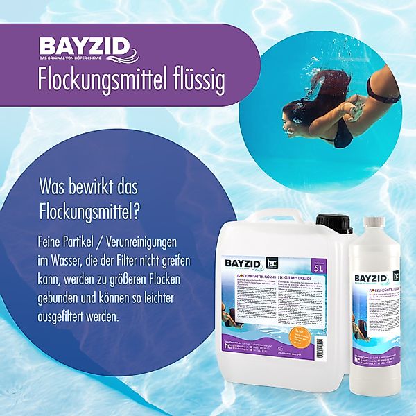 Höfer Chemie GmbH Poolpflege 4x 5 günstig online kaufen