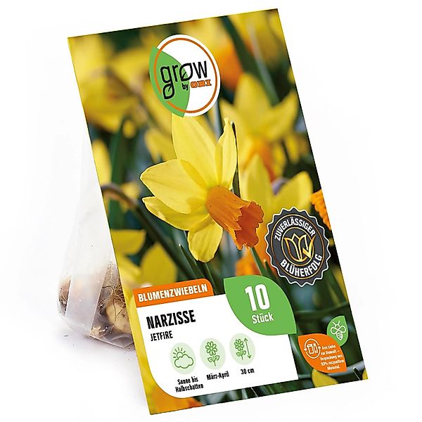 GROW by OBI Narcisse Jetfire Orange-Gelb 10 Stück Narcissus cyclamineus Jet günstig online kaufen