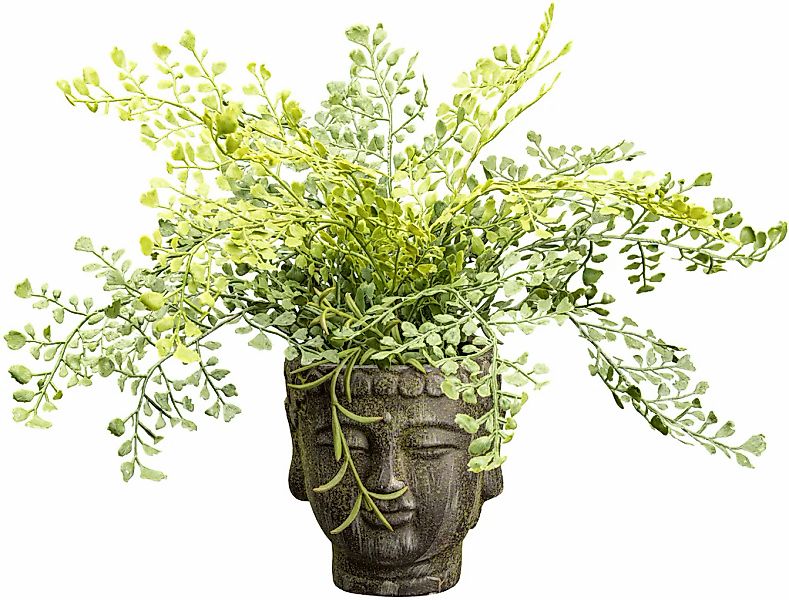 Kunstpflanze Adianthumbusch Farn, Creativ green, Höhe 35 cm, im außergewöhn günstig online kaufen