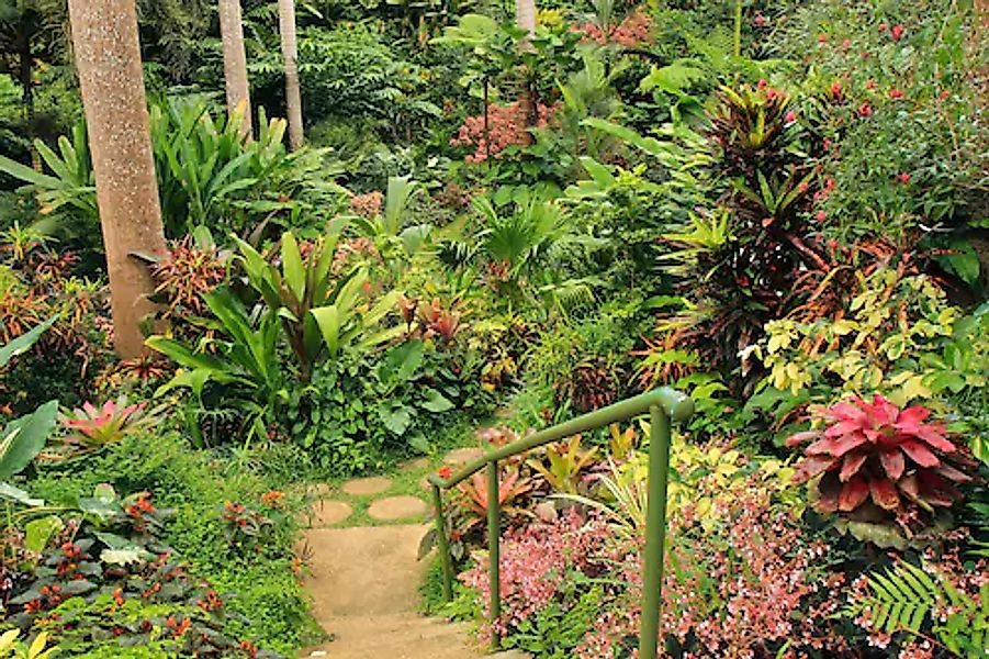 Papermoon Fototapete »GARTEN-BLUMEN BÄUME PFLANZEN PARK STEINE WALD BLÜTEN« günstig online kaufen