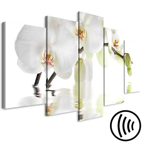 Leinwandbild Blühende Orchidee - abstraktes Motiv mit weißer Blume XXL günstig online kaufen