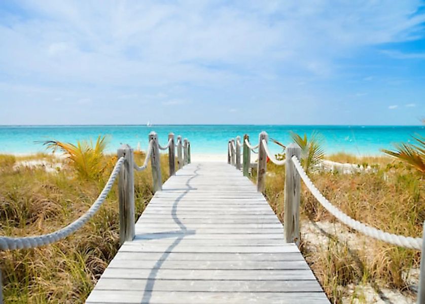 Papermoon Fototapete »Dunes Carribean Beach« günstig online kaufen