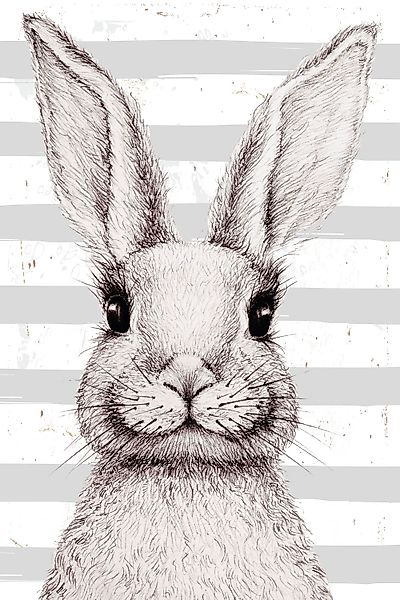 queence Metallbild "Gala", Hase, (1 St.), Stahlschilder günstig online kaufen