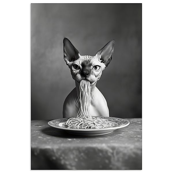 MuchoWow Poster Sphynx - Katze - günstig online kaufen