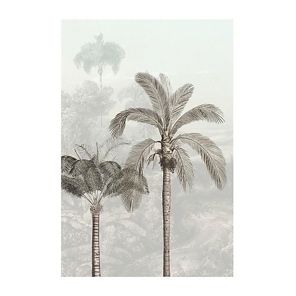 Komar Poster Jungle Panorama günstig online kaufen