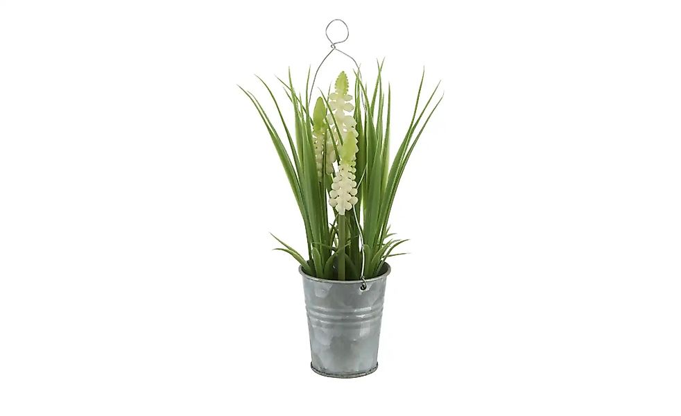 Hyazinte im Zinktopf   ¦ weiß ¦ Kunststoff,Eisen ¦ Maße (cm): H: 22  Ø: 5.5 günstig online kaufen