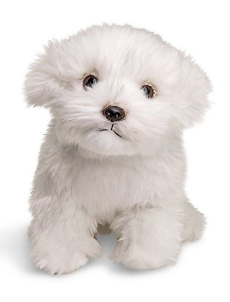 Uni-Toys Kuscheltier Malteser (ohne Leine) - 26 cm (Länge) - Plüsch-Hund - günstig online kaufen