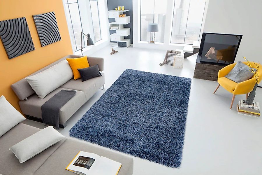 my home Hochflor-Teppich »Amadeo«, rechteckig günstig online kaufen