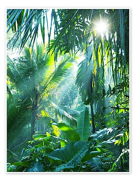 Posterlounge Poster Editors Choice, Dschungelfieber, Fotografie günstig online kaufen
