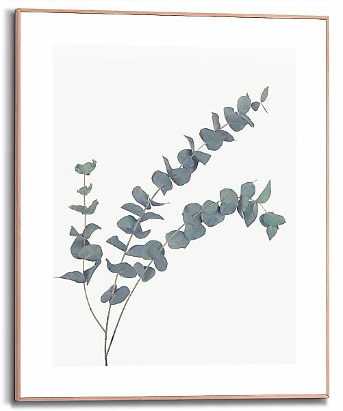 Reinders Bild mit Rahmen "Eucalyptus", (1 St.) günstig online kaufen