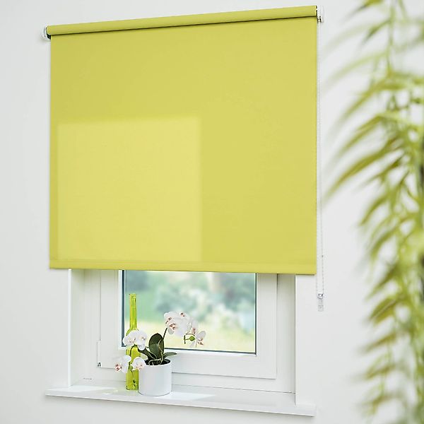 Seitenzugrollo Uni, Liedeco, Lichtschutz, mit Bohren, günstig online kaufen