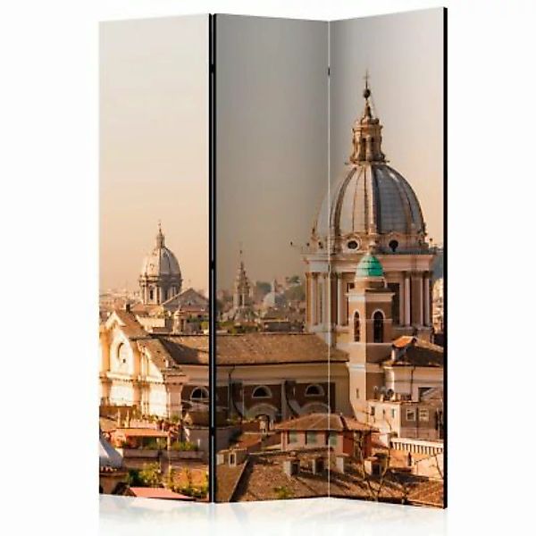 artgeist Paravent Rome - bird's eye view [Room Dividers] braun Gr. 135 x 17 günstig online kaufen