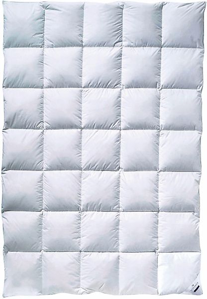 billerbeck Daunenbettdecke Ebby 50 Mono, Bettdecke günstig online kaufen