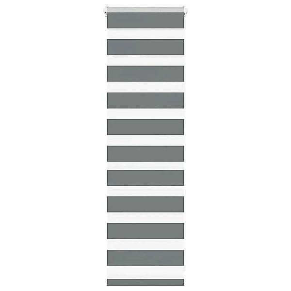 vidaXL Doppelrollo Dunkelgrau 50x100 cm Stoffbreite 45,9 cm Polyester 40140 günstig online kaufen