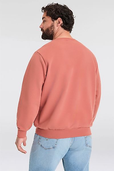 Levis Plus Sweatshirt "BIG ORIGINAL HM CREW", mit Batwing-Logobadge günstig online kaufen