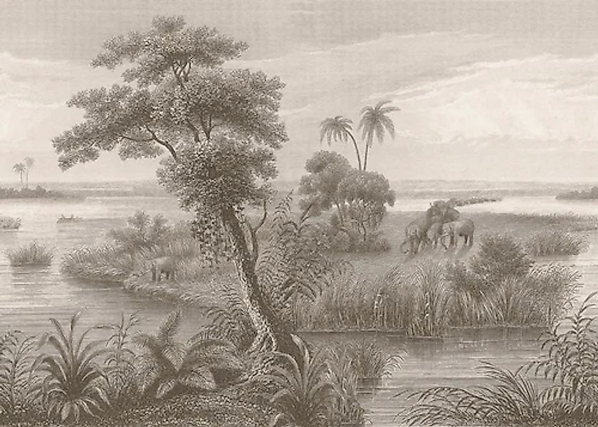 Rasch Fototapete »Vliestapete Lirirco 556162« tropisch glatt Dschungel günstig online kaufen