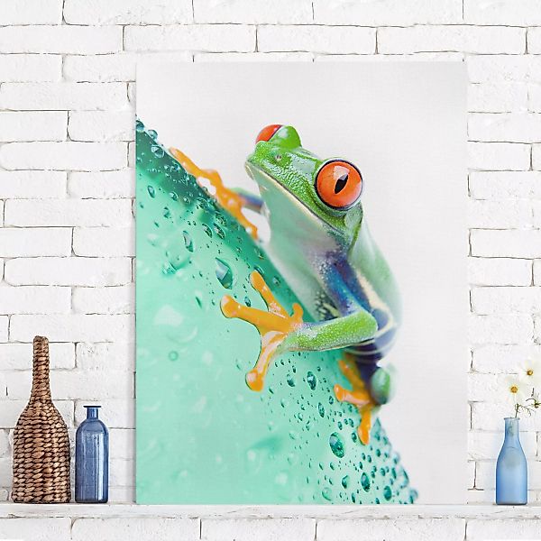 Leinwandbild Tiere - Hochformat Frog günstig online kaufen