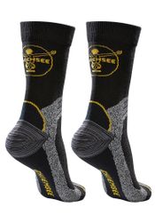 Chiemsee Wandersocken (Packung, 2-Paar) mit gepolsterten günstig online kaufen