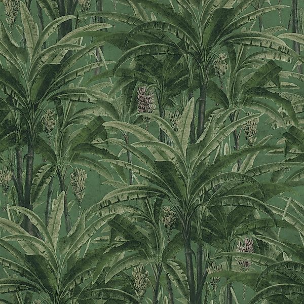 Bricoflor Tapete mit Palmenblättern in Grün Exotische Palmen Tapete für Sch günstig online kaufen