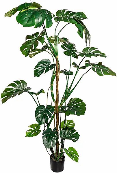 Creativ green Kunstbaum »Splitphilodendron« günstig online kaufen