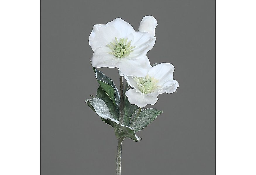 Kunstblume Christrose 34cm DP Dekoblumen künstliche Blumen Helleborus, Seid günstig online kaufen