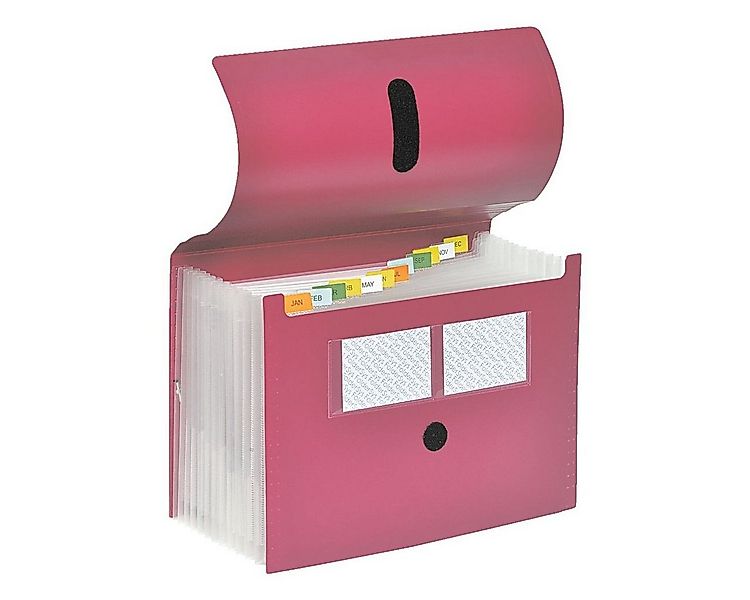 FOLDERSYS Fächermappe, 12 Fächer (dehnbar) günstig online kaufen