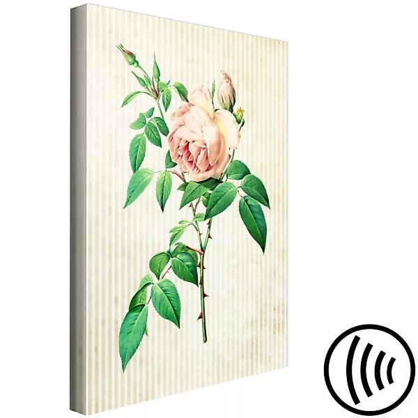Wandbild Zarte Rose - stachelige, subtile Pflanze auf gestreiftem Hintergru günstig online kaufen