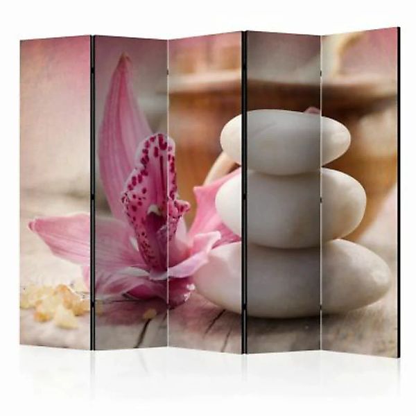 artgeist Paravent Aromatherapy II [Room Dividers] mehrfarbig Gr. 225 x 172 günstig online kaufen