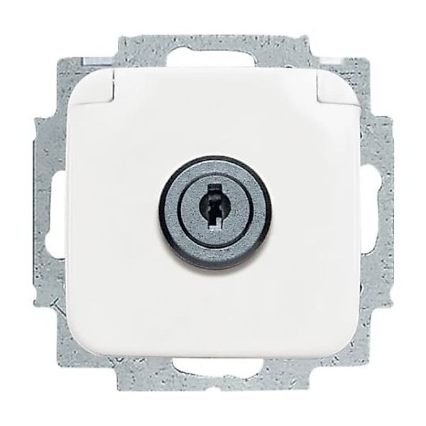 Busch-Jaeger Steckdosen-Einsatz aws 20 EUKSL-214-101 - 2CKA002018A1479 günstig online kaufen